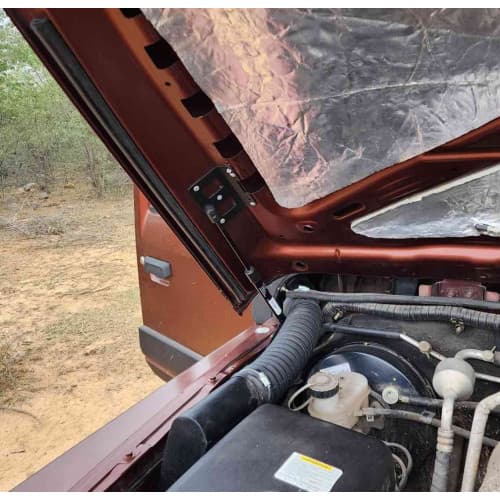 Thar Bonnet Shockers